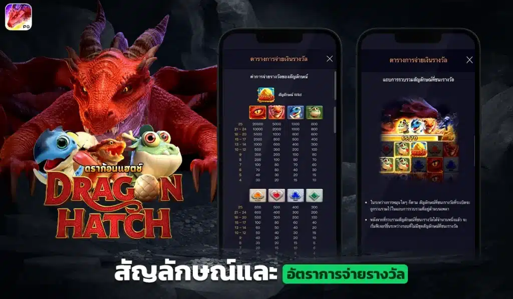 สัญลักษณ์และอัตราการจ่ายรางวัล