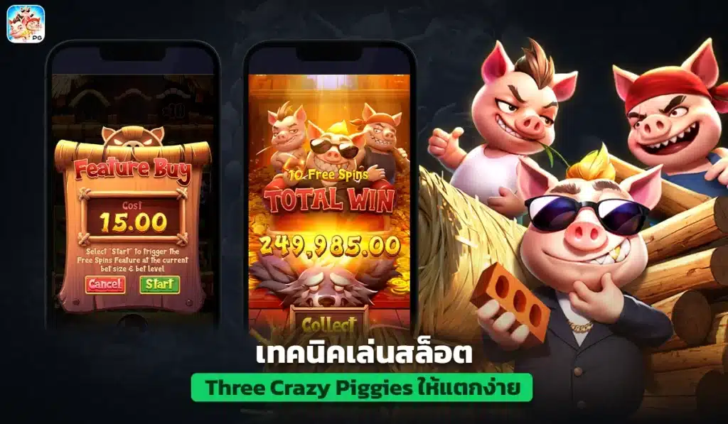 เทคนิคเล่นสล็อต Three Crazy Piggies ให้แตกง่าย